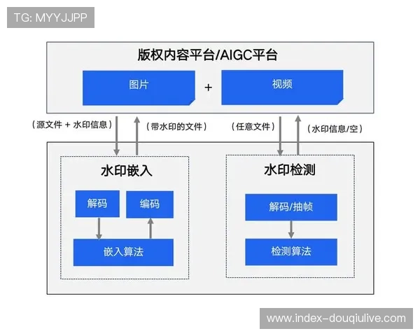 数字水印技术追踪内容传播路径，保护版权收益